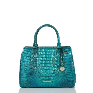 BRAHMIN Small Finley Tote Handbag