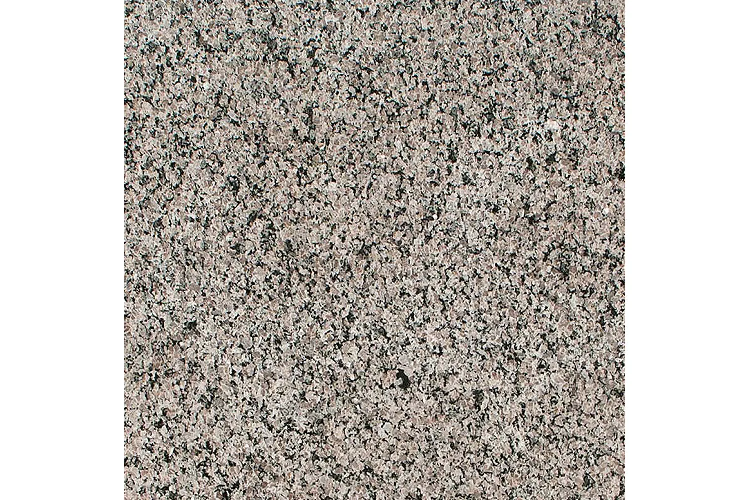 Corsica Pearl Gainesway Granite