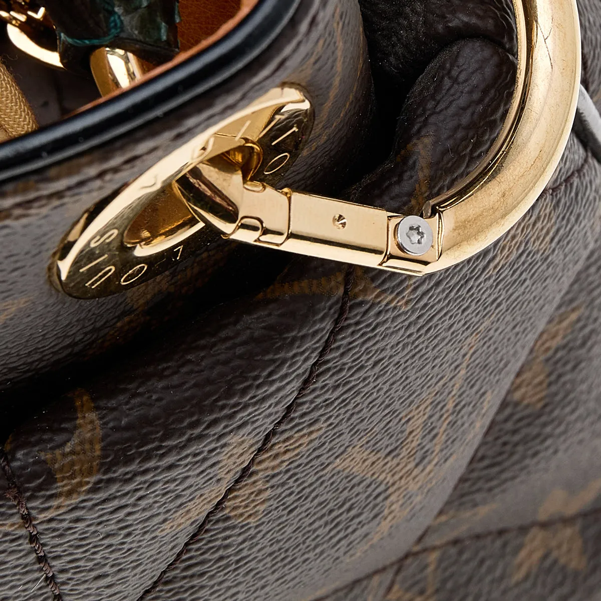 Louis Vuitton Monogram Canvas Etoile Exotique MM Bag