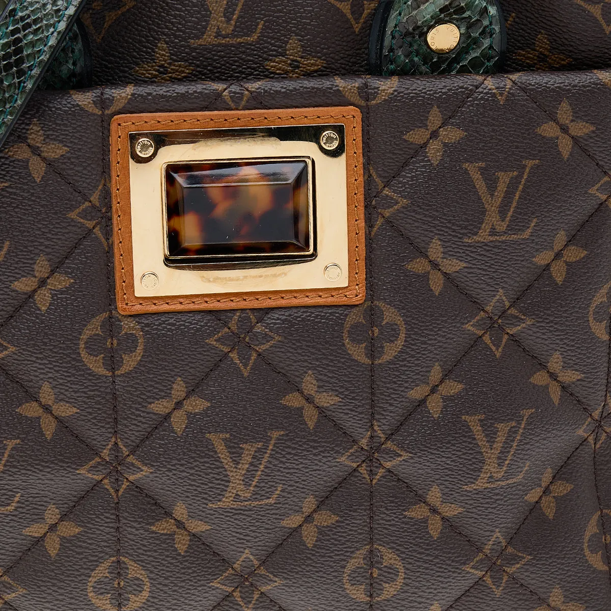Louis Vuitton Monogram Canvas Etoile Exotique MM Bag