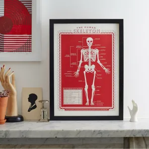 THE HUMAN SKELETON PRINT