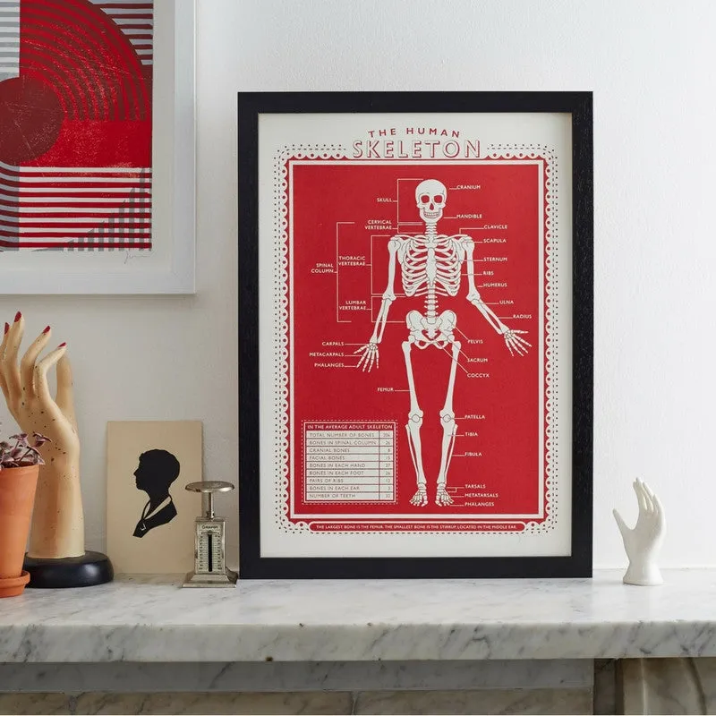 THE HUMAN SKELETON PRINT