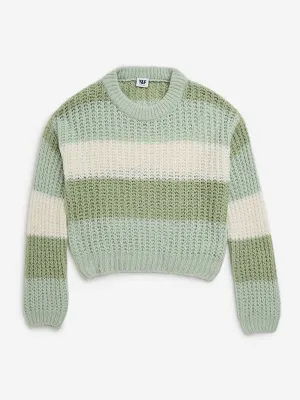 Y&F Kids Sage Stripe Printed Knitted Sweater